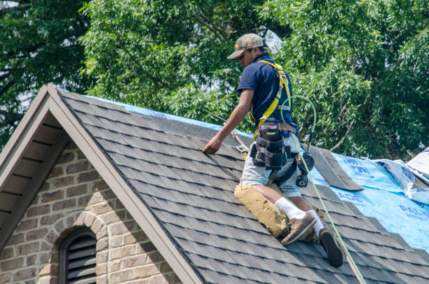 Best Storm Damage Roof Repair  in Earlham, IA